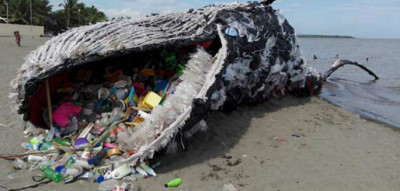 Giant-Dead-Whale-1-Is-Haunting-Reminder-of-Massive-Plastic-Pollution-Problem.jpg