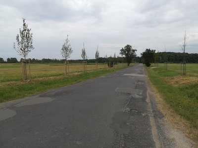 IMG_20180619_165108.jpg