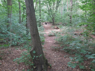 20230725_124424.jpg